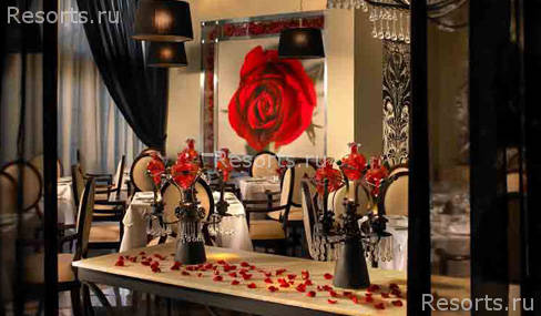 Paradisus Palma Real 50